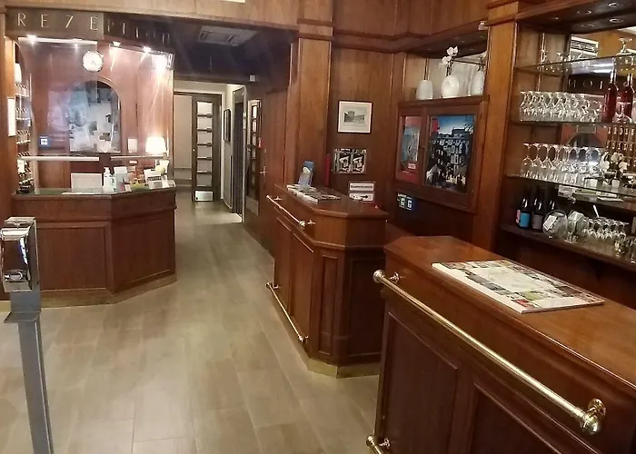 Hotel Domizil 4*